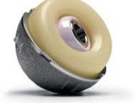 Biomet Active Articulation Dual Mobility Hip System